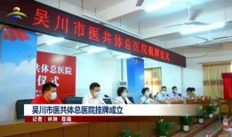 吴川最新爆料新闻事件,揭秘某重大事件背后真相